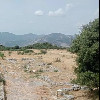 sito archeologico elea agorà