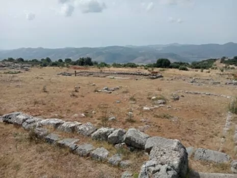agorà portale sito archeologico di elea