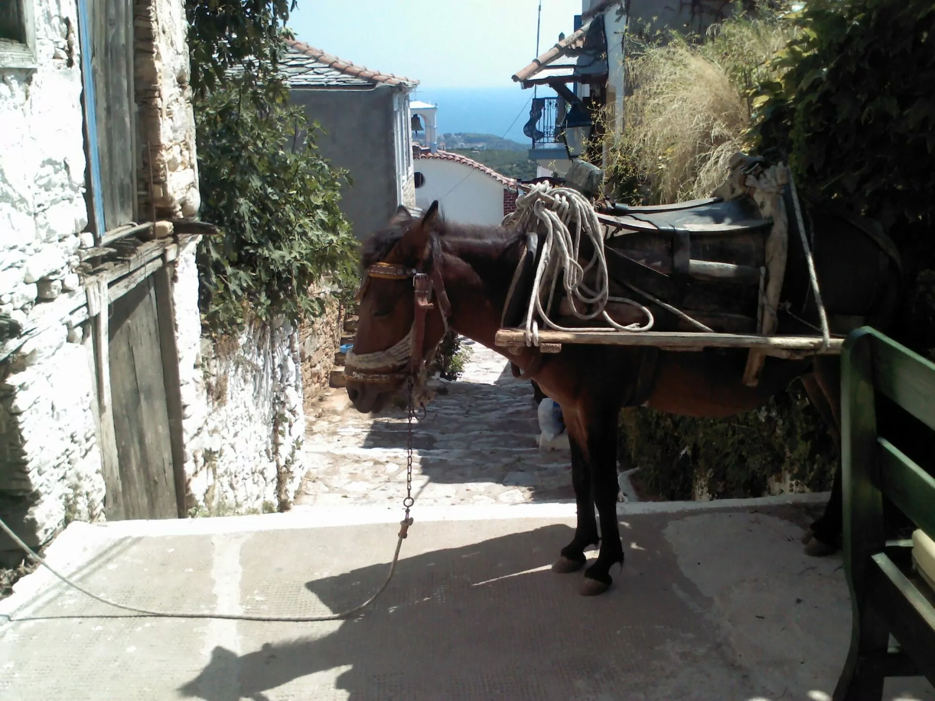 Il borgo di Alonissos