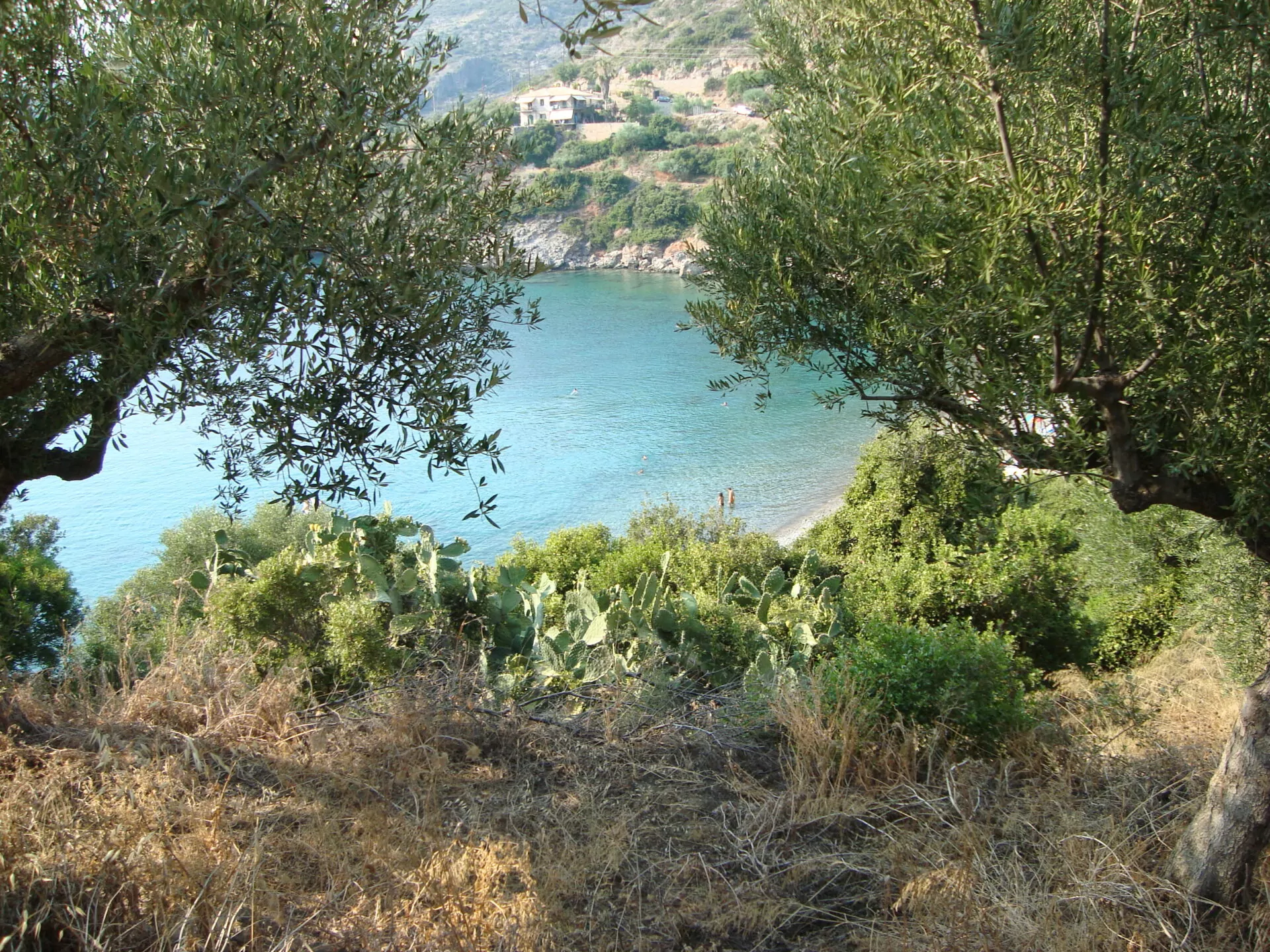 Delfinia, una spiaggia selvaggia e incontaminata
